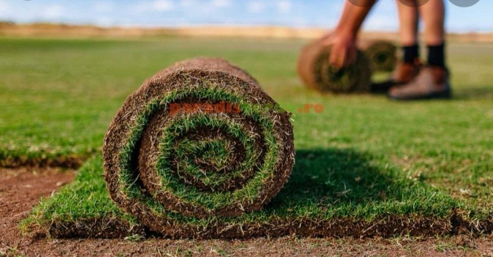 Amenajari gradini calitate superioass