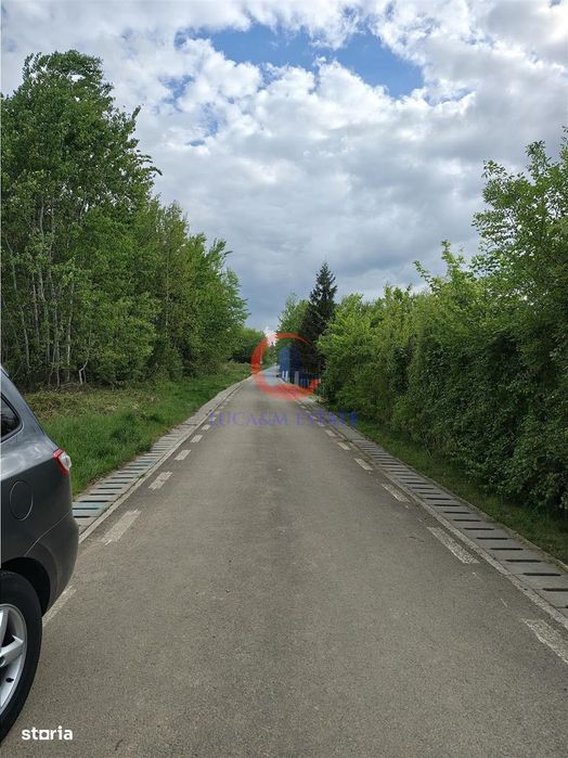 Parcele Teren Lacul Surduc Fârdea