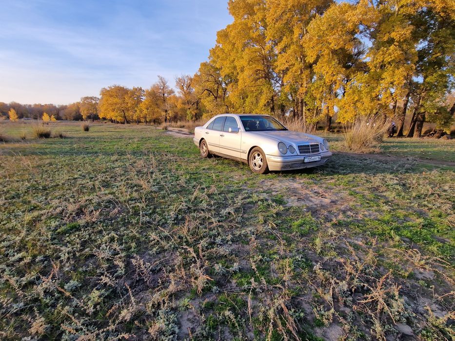 Мерс лупарик 210