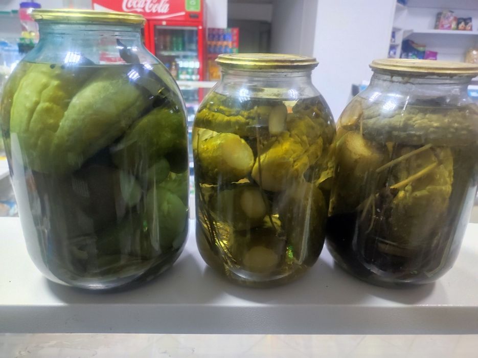 Огурцы  домашние