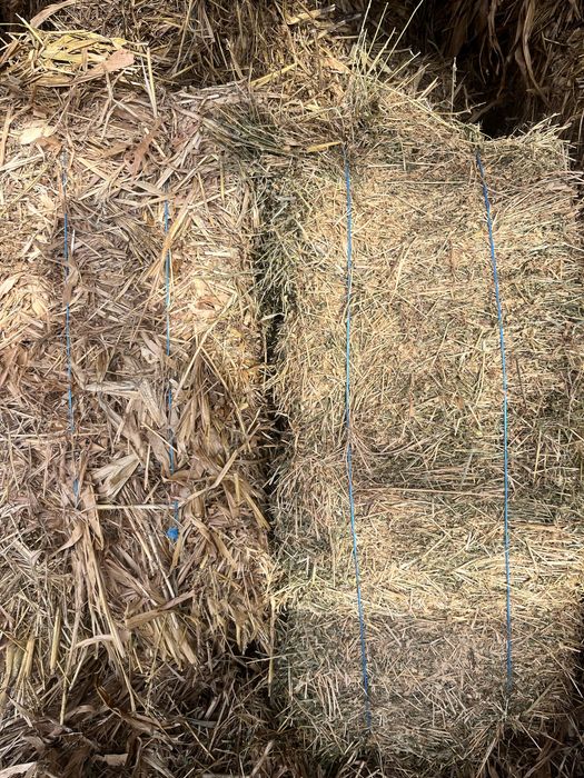 Baloti de cocenasi si trifoi !