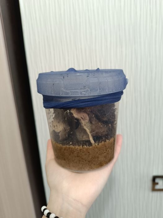 Мушка дрозофила НЕЛЕТАЮЩАЯ