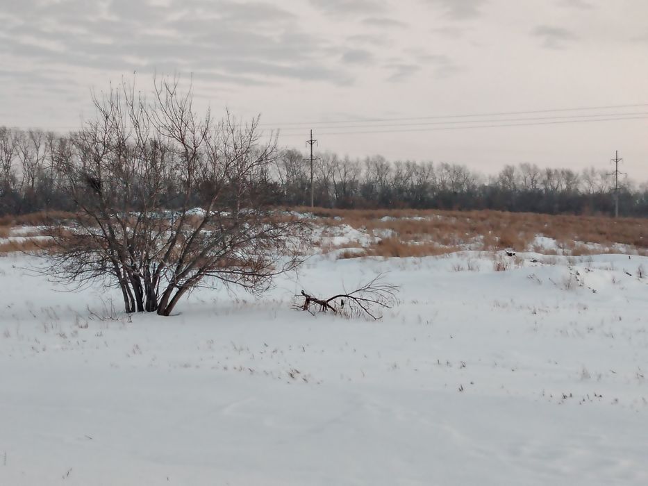 Земля БИШКУЛЬ. Продам