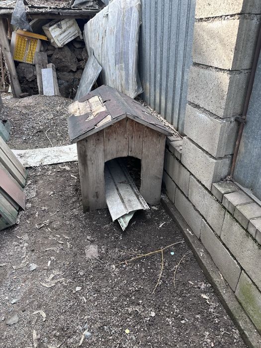 Бутка для собаки