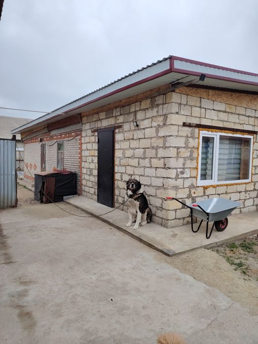 Продам дом в Юбилейном (Рудненский)