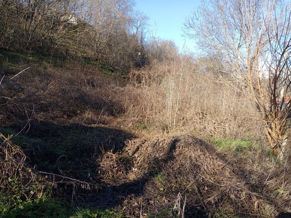 Стара къща с двор 2101кв. м.