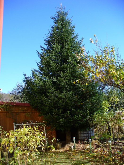 Casă de vânzare VALEA DOFTANEI– 158 mp, curte 380 mp, garaj, mobilată