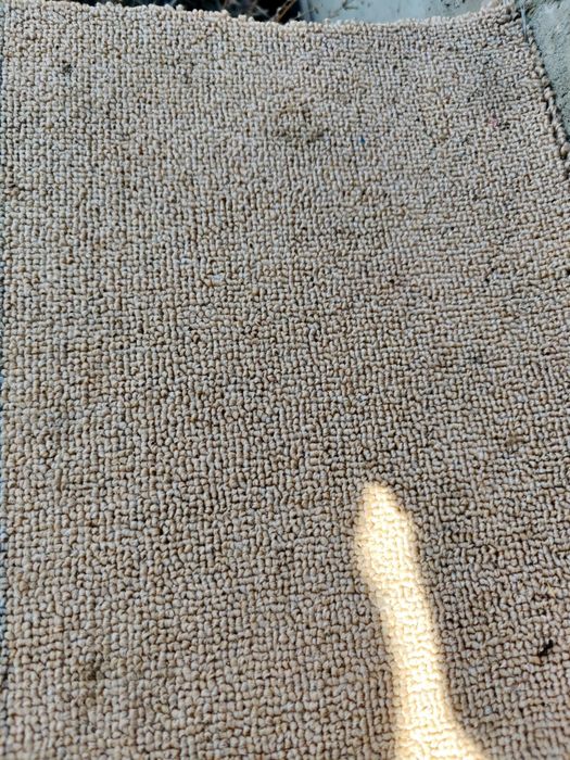 Ковролан светло бежевый