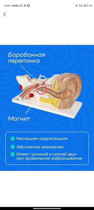 Korinmas naushnik juda asqotadi