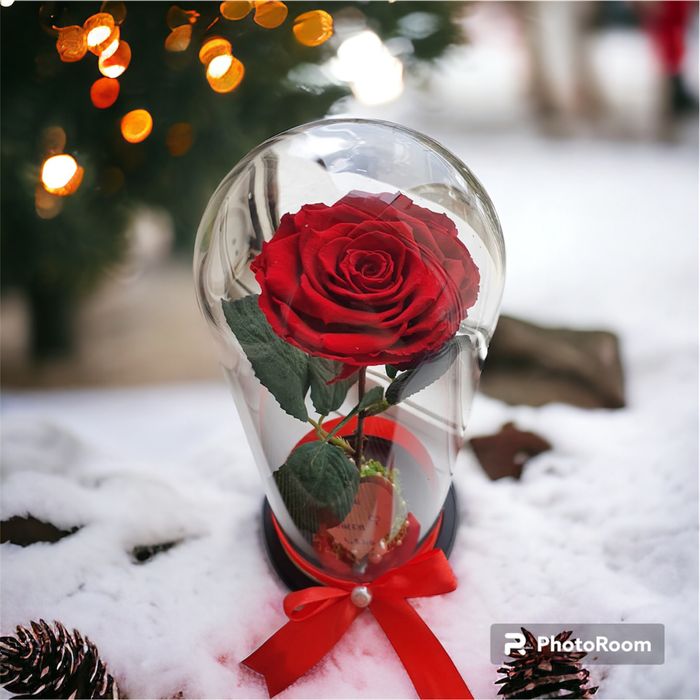 Trandafir criogenat rosu