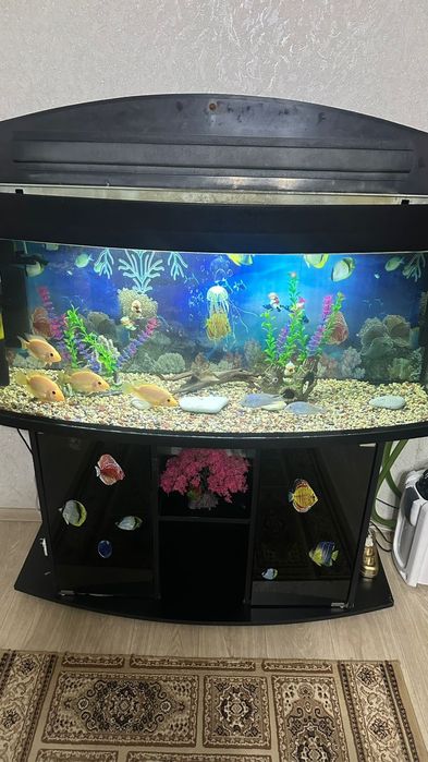Аквариум 200 литрок
