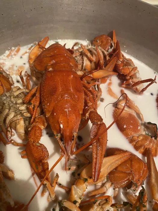 Живые раки,доставка раков,клешни краба,креветки