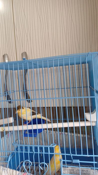 Срочно продаётся