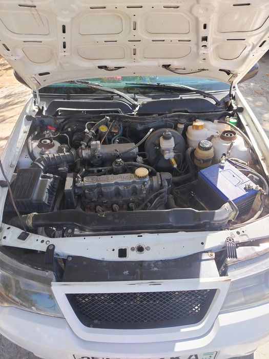 Nexia 2 super gibrit