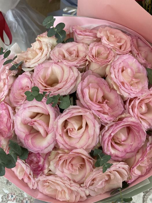 Гулдер сатылады 3000тг ден