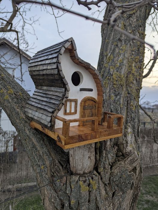 Căsuța păsărele de grădină.