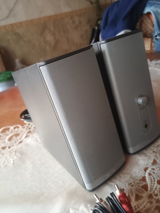 Boxe Bose  companion 2