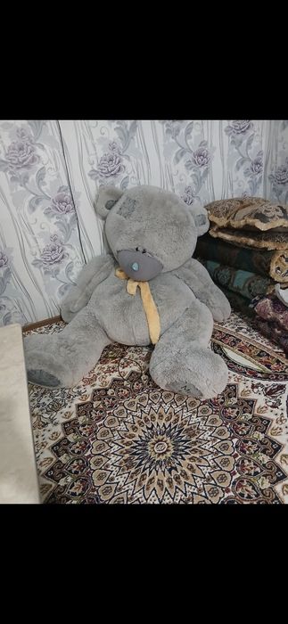 Juda ham katta ayiq narxi 600ming yana kelishtiramiz