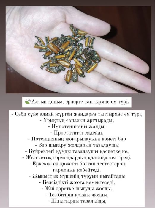 Үлкен әтештер мен спермы