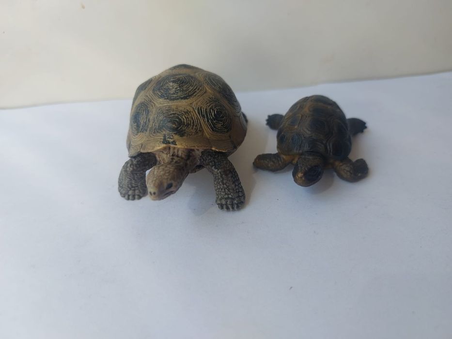 Черепахи  игрушки