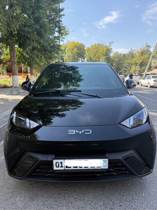 BYD Seagull 2024 — 2