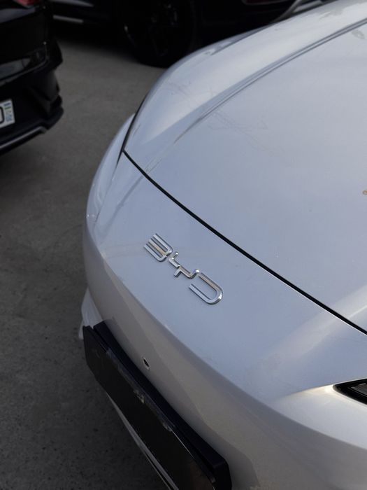 BYD chempion 2025 restaling