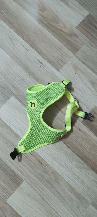 Ham  catel talie medie mare