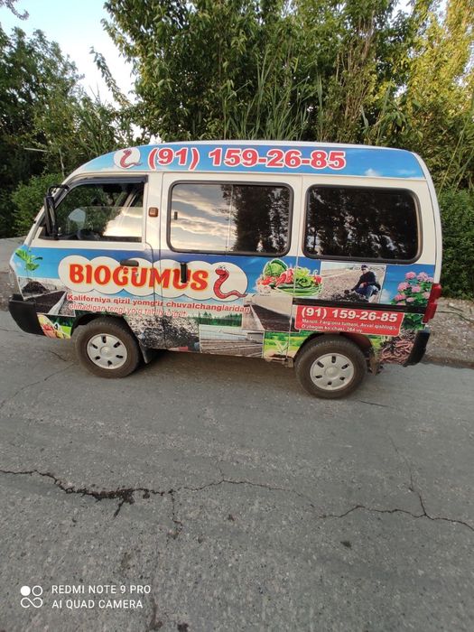 Kalforniya qzil yomg'r CHUVALCHANGLARI sotladi kvadrati 200 min somdan