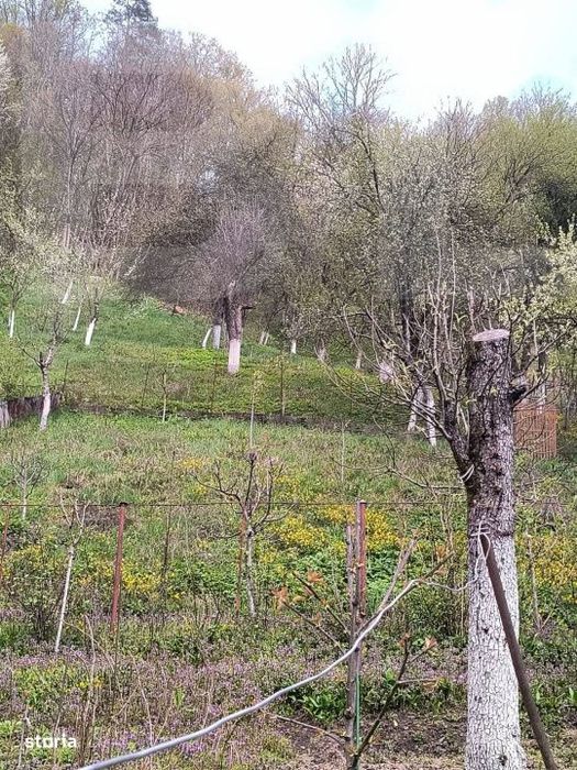 Vand casa la Nadrag zona linistita foarte aproape de centru
