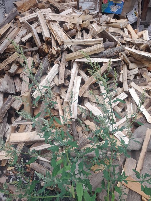 Дрова сухие рубленные