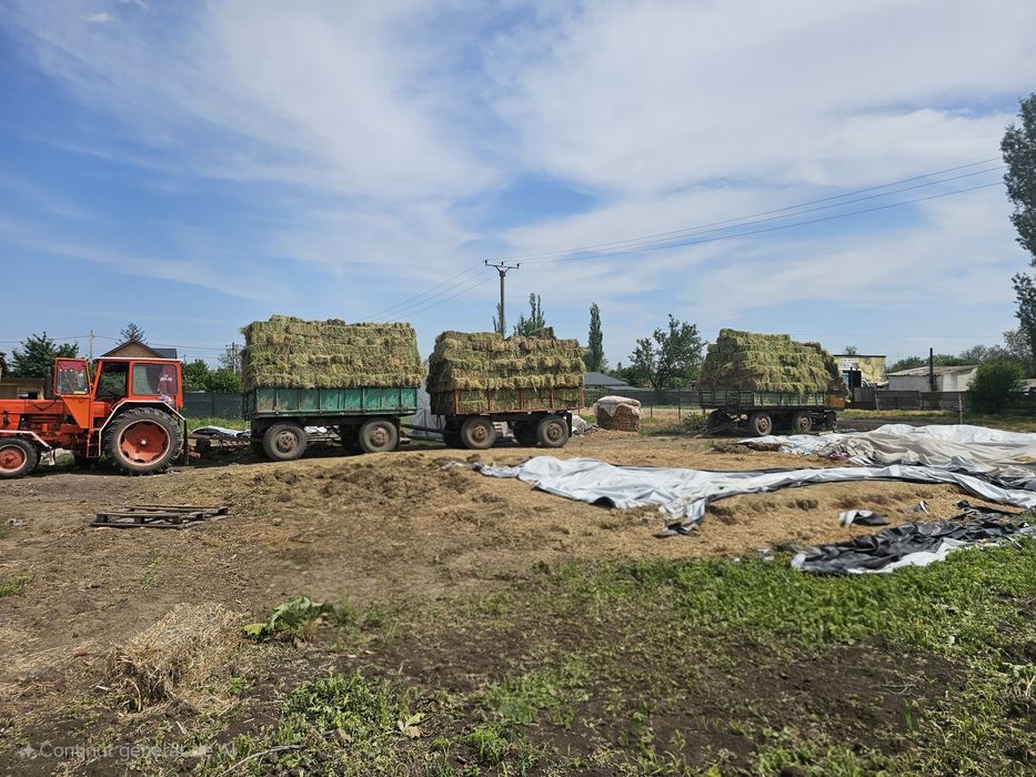 Baloți de lucernă PREMIUM – 25 lei/buc • Calitate garantată!