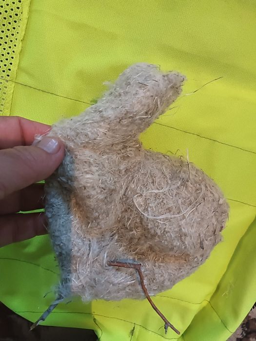 Куркылтаи уясы. Гнездо ремеза