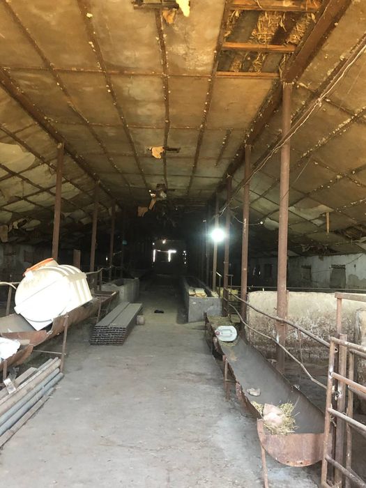 Tayyor ferma sotiladi