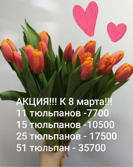 Тюльпаны к 8 марта!!!