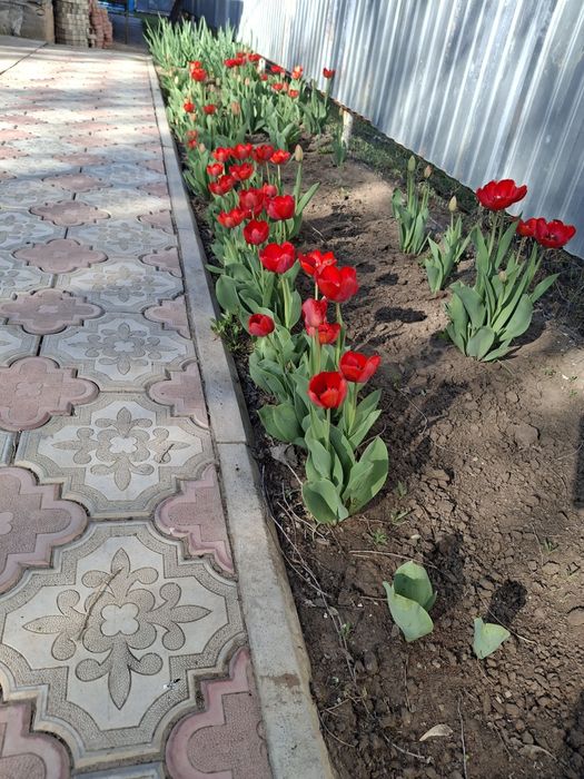 Жер үй сатылады.