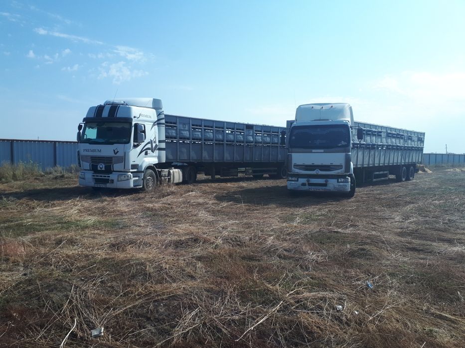 Скотовозы крс мрс