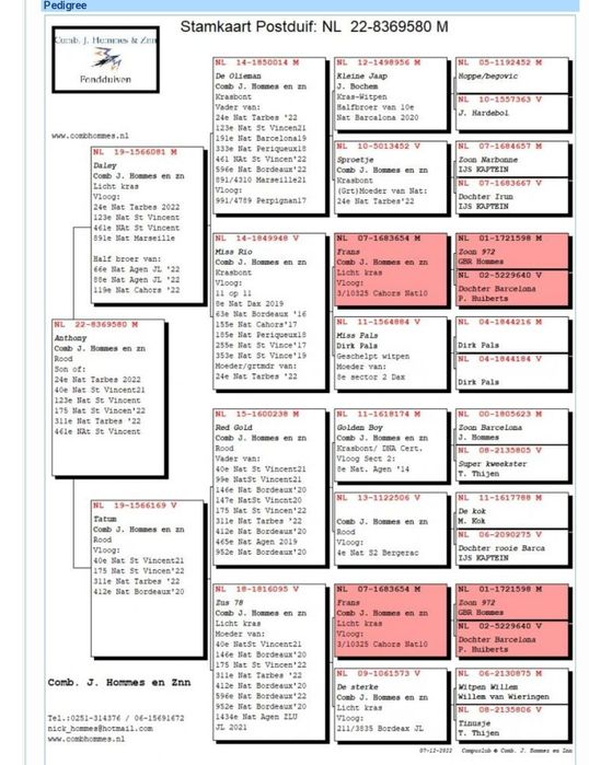 Voiajori maraton-maraton extrem