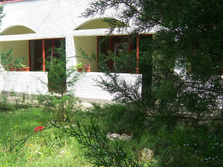 Vila in Statiunea Venus,          
 Imobil/afacere de vânzare in centrul statiunii și aproape de plajă.
