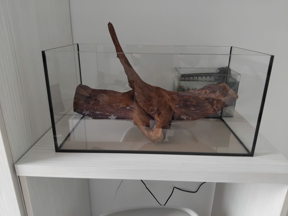 Lemn natural pentru acvarii/terarii