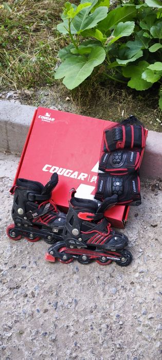 Ролики Cougar в отличном состоянии