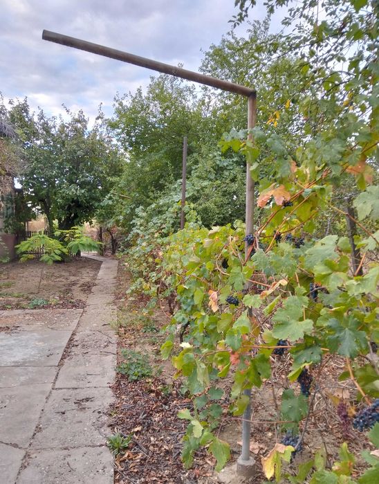 Deschidere 17,54m la DN1B/str. Mihai Viteazul, com.Valea Calugareasca