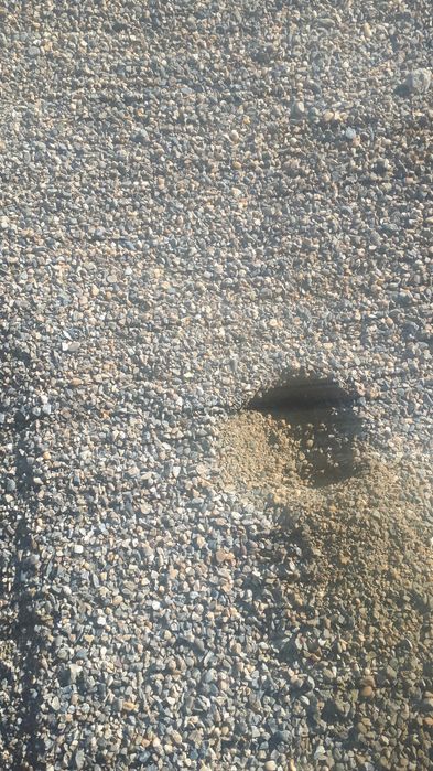 даставка шебен митти клинец песок грунт тоза тупрок ва х к