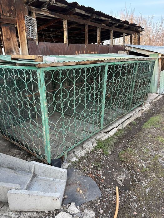 Бараны и клетка