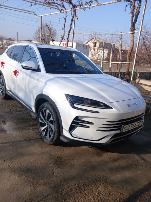 BYD CHEMPION туй маросимлар учун