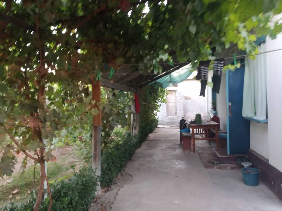 Продается Дом в Чиназском районе (Эски Ташкент (Пахта))