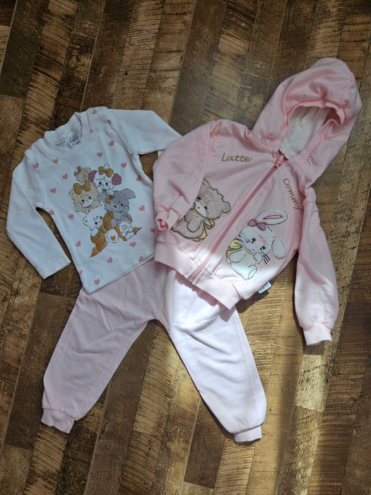 Trening costum format din bluza, pantaloni, hanorac 12-18 luni
