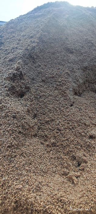 Qoy va molar uchun yem