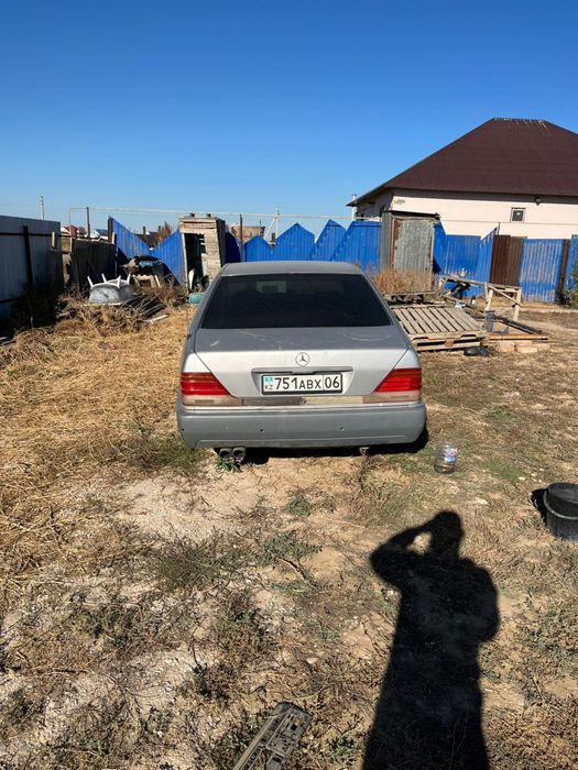 Продам кабан срочно