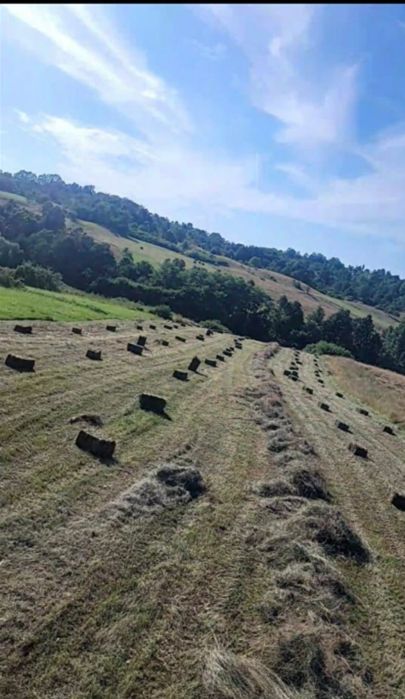 Vând baloți producție 2025