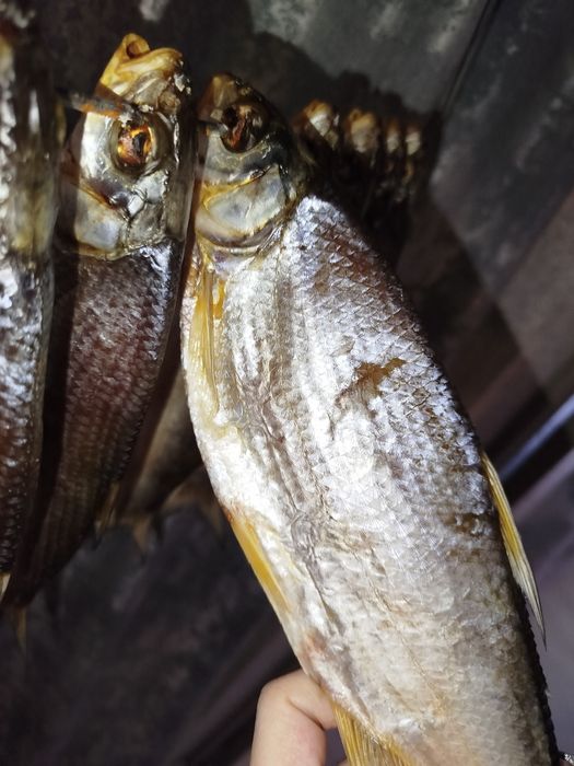 Продам сушёную рыбу